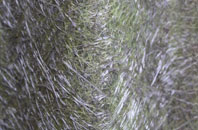 Wanlockhead fibreglass roof work